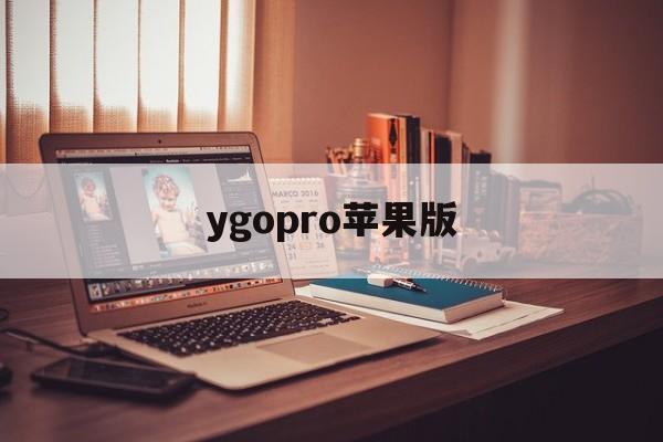 ygopro苹果版(ygoproios版)-第2张图片-QuickQ官网 ygopro苹果版(ygoproios版)-第2张图片-QuickQ官网