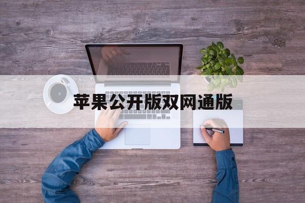 苹果公开版双网通版(苹果公开版是双卡双待吗)-第4张图片-QuickQ官网